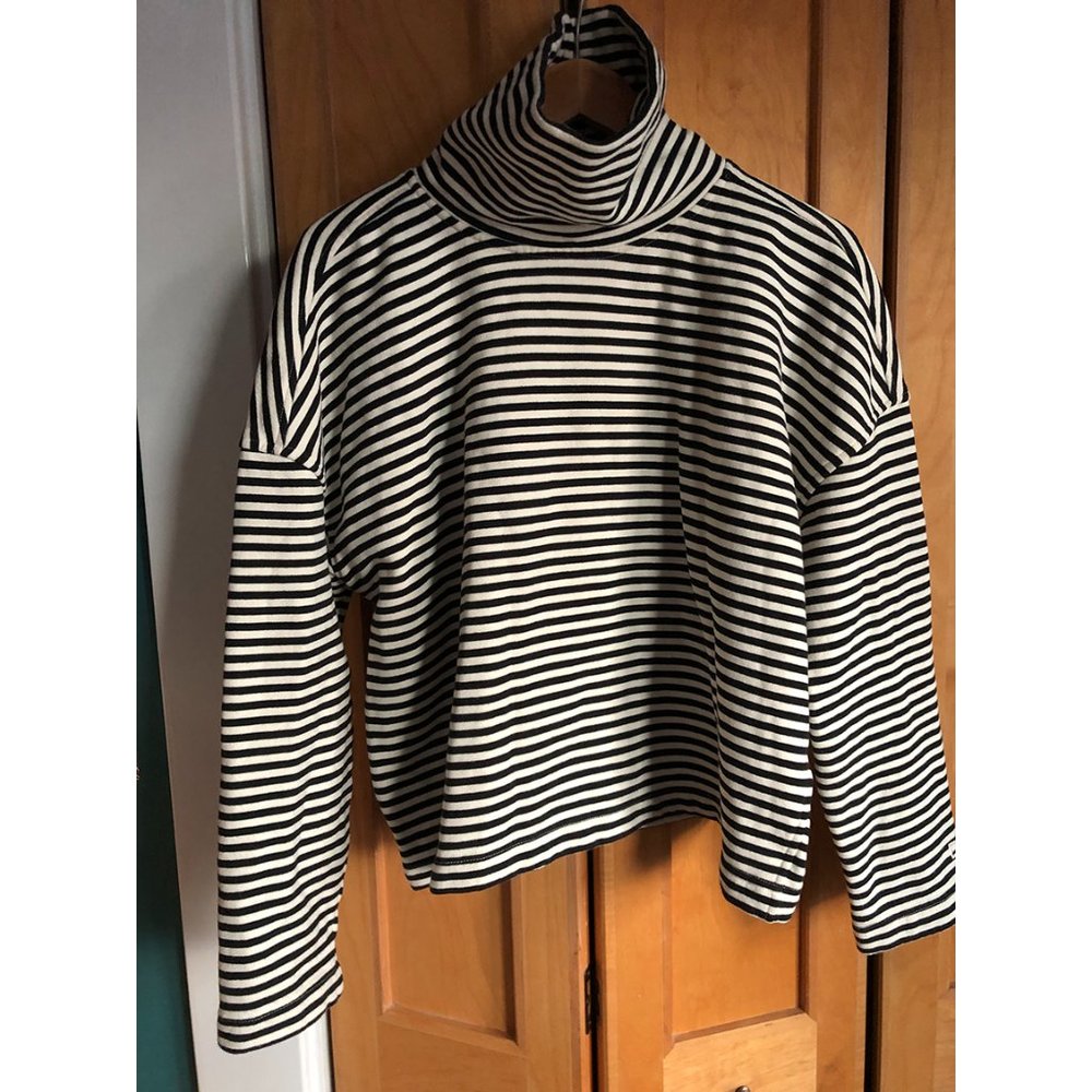 Everlane Turtleneck Sweatshirt